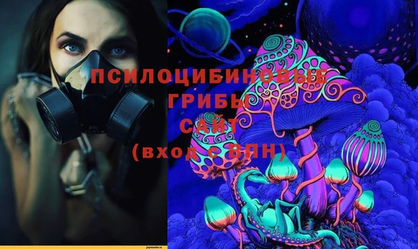 ГАЛЛЮЦИНОГЕННЫЕ ГРИБЫ Нефтегорск
