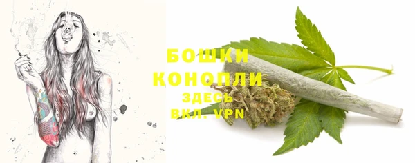 ГАЛЛЮЦИНОГЕННЫЕ ГРИБЫ Нефтегорск