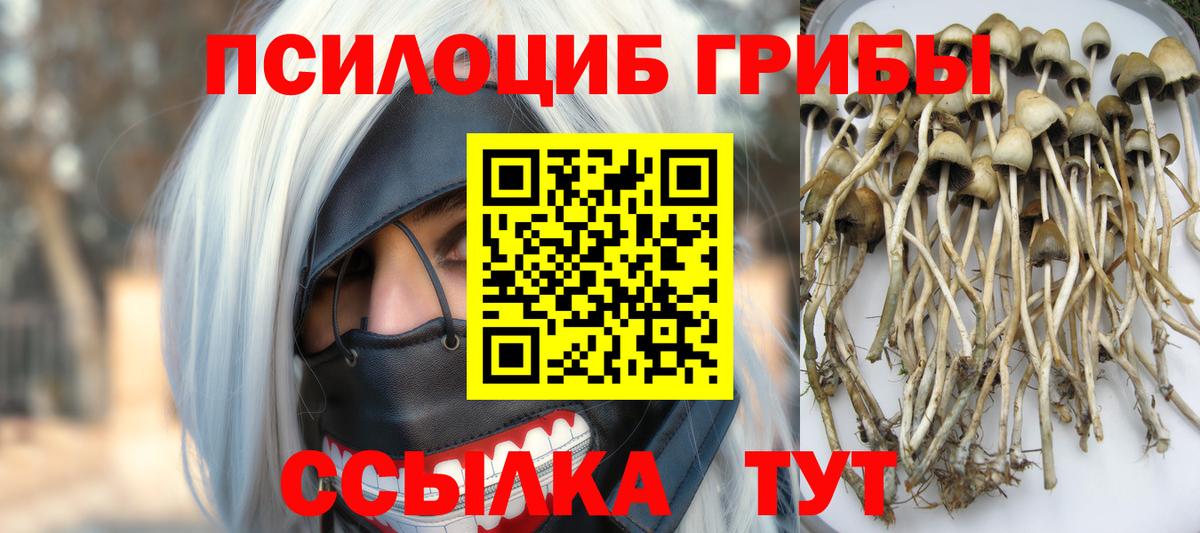 Галлюциногенные грибы мицелий Ярославль