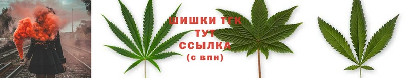 MEGA маркетплейс  где можно купить наркотик  Ярославль  Каннабис Ganja 